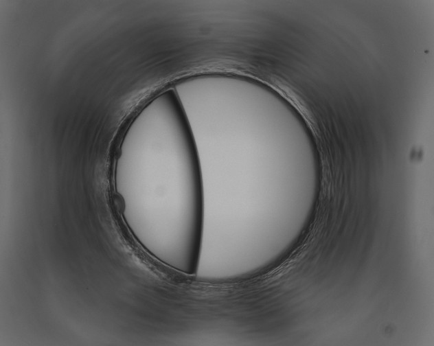 X0000090910485200708271007