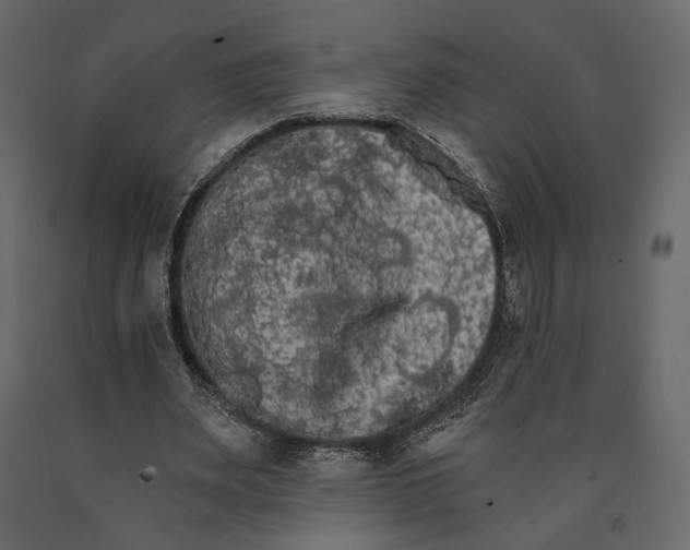 X0000090910487200708271007