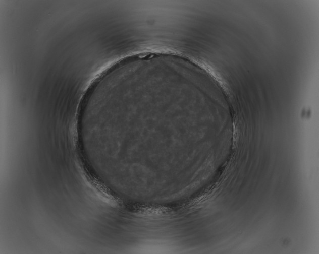 X0000090910488200708271007