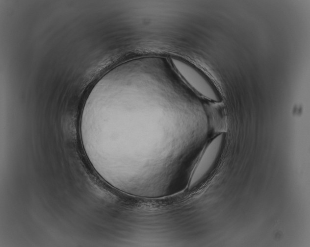 X0000090910489200708271007