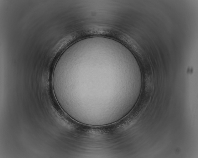 X0000090910490200708271007