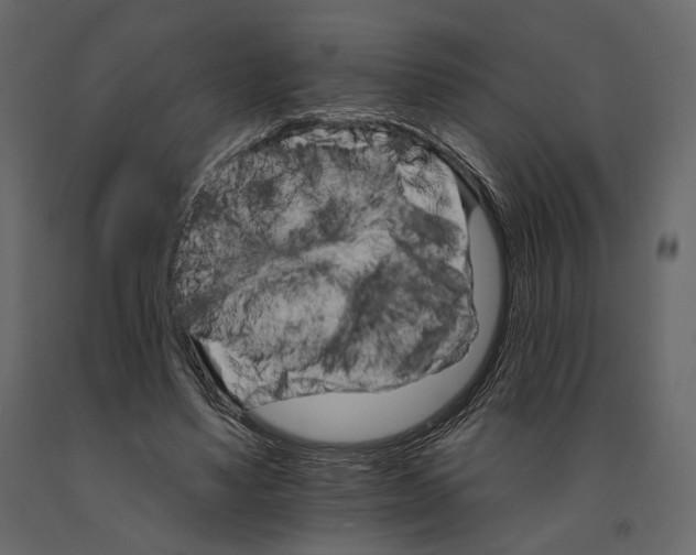 X0000090910491200708271007