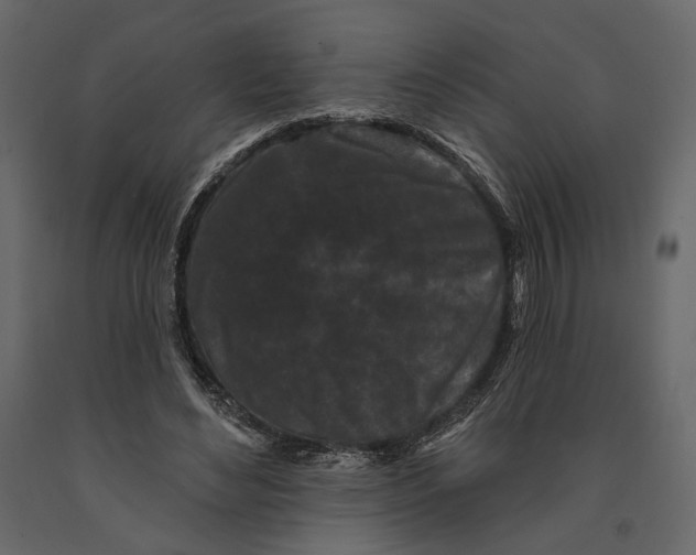 X0000090910492200708271007