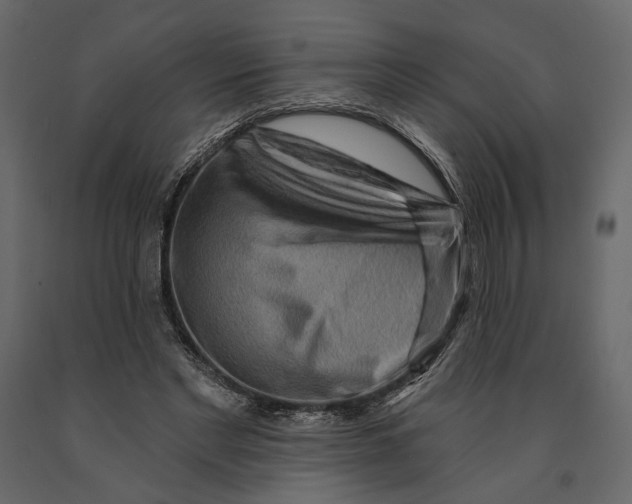 X0000090910493200708271007