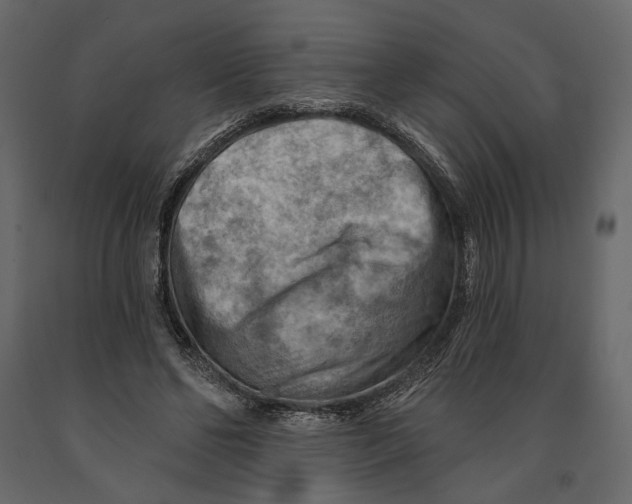 X0000090910494200708271007