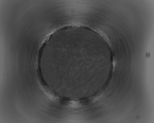 X0000090910496200708271007