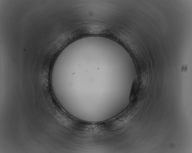 X0000090910497200708271007