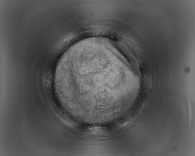 X0000090910499200708271007