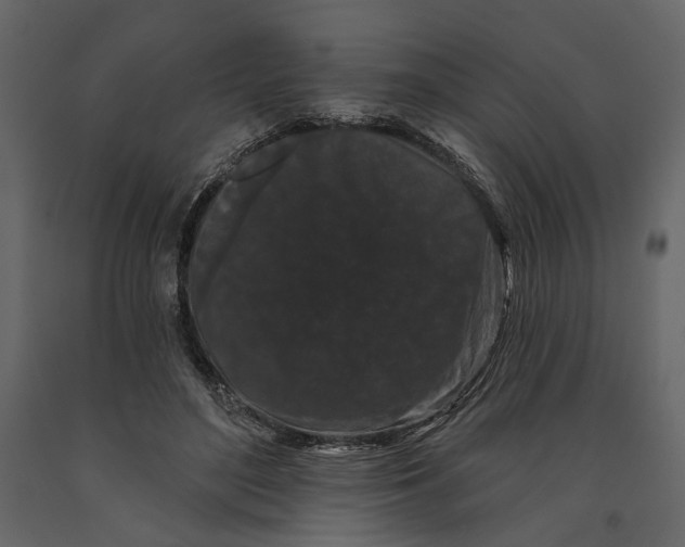 X0000090910500200708271007