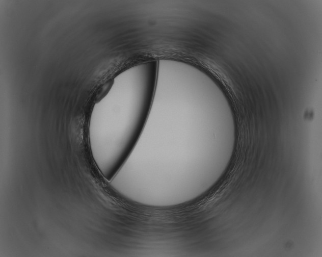 X0000090910501200708271007