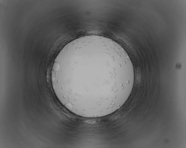 X0000090910502200708271007