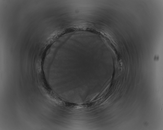 X0000090910504200708271007