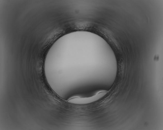 X0000090910505200708271007