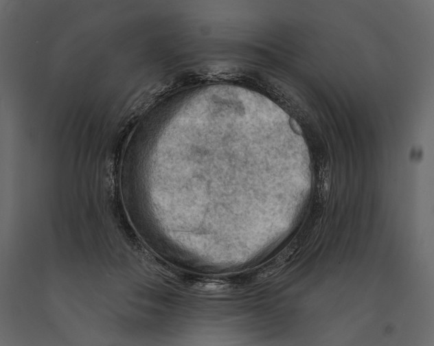 X0000090910506200708271007