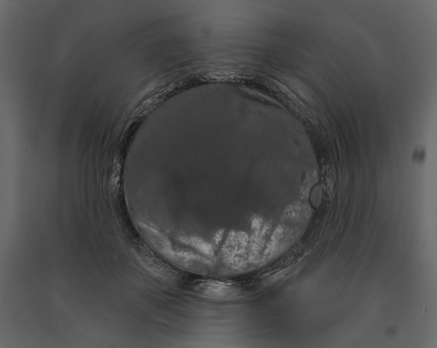 X0000090910507200708271007