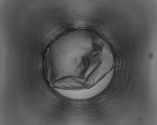 X0000090910508200708271007