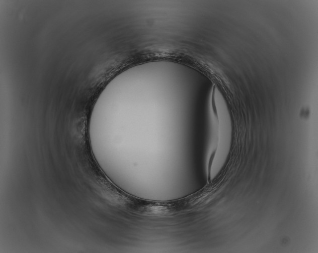 X0000090910509200708271007