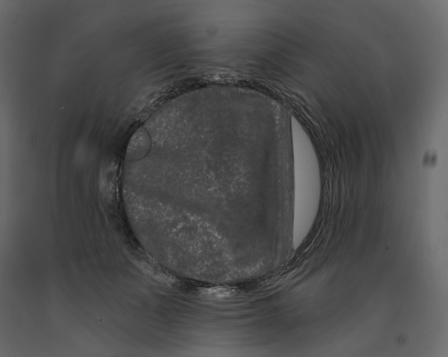 X0000090910511200708271007