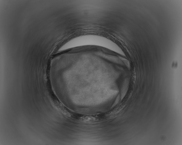 X0000090910512200708271007