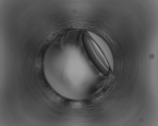 X0000090910513200708271007