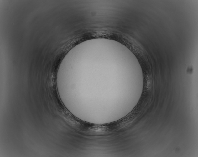 X0000090910514200708271007