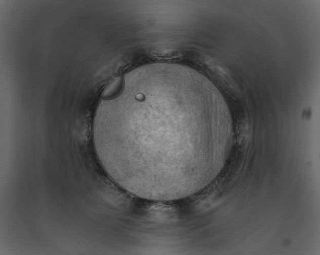 X0000090910515200708271007