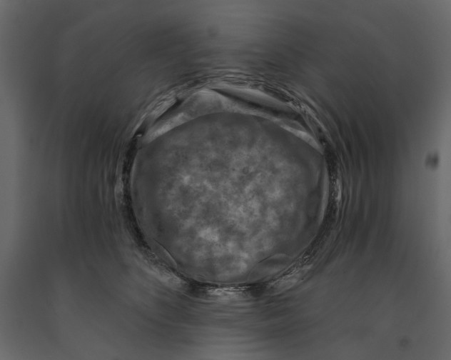 X0000090910516200708271007