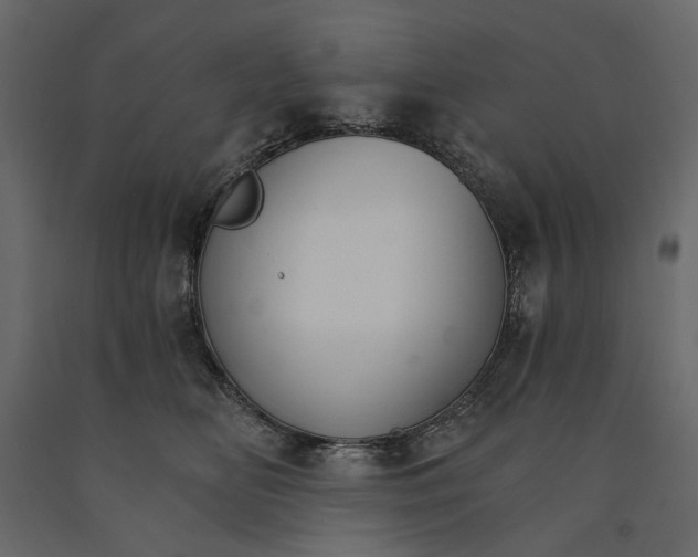 X0000090910518200708271007