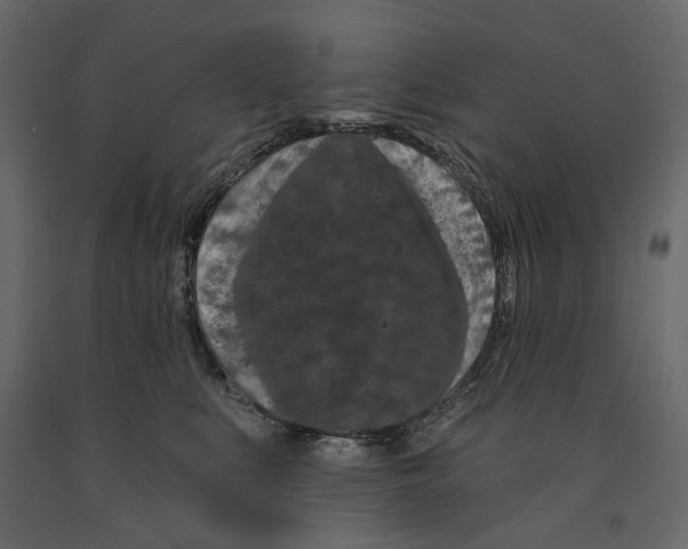 X0000090910519200708271007