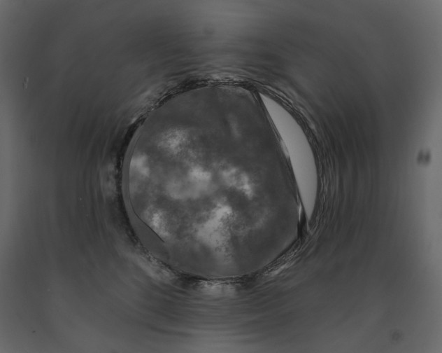 X0000090910520200708271007