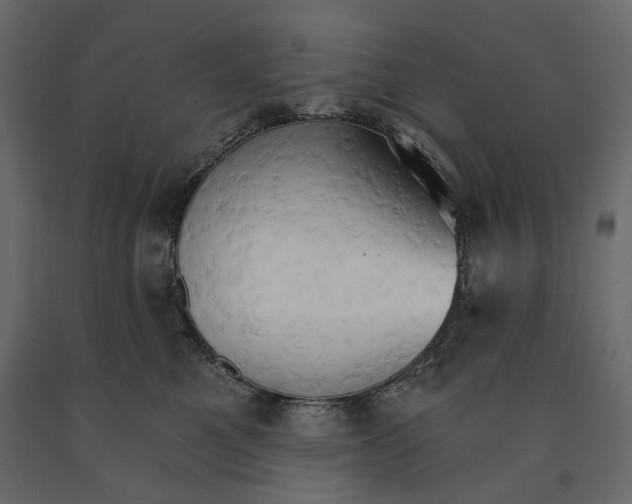 X0000090910521200708271007