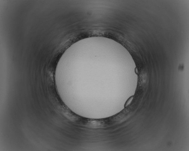 X0000090910522200708271007