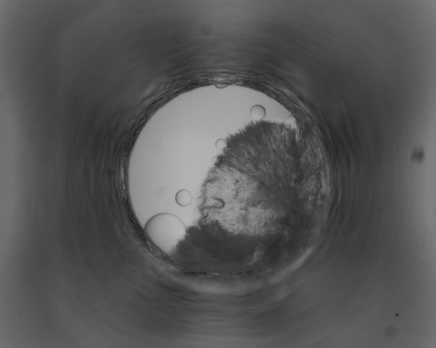 X0000090910523200708271007