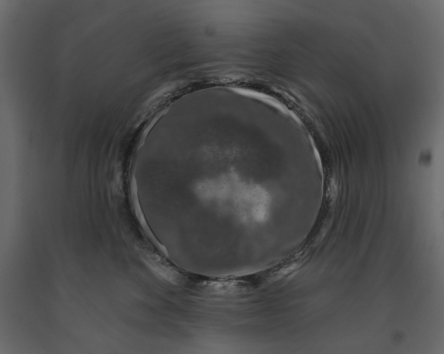 X0000090910524200708271007