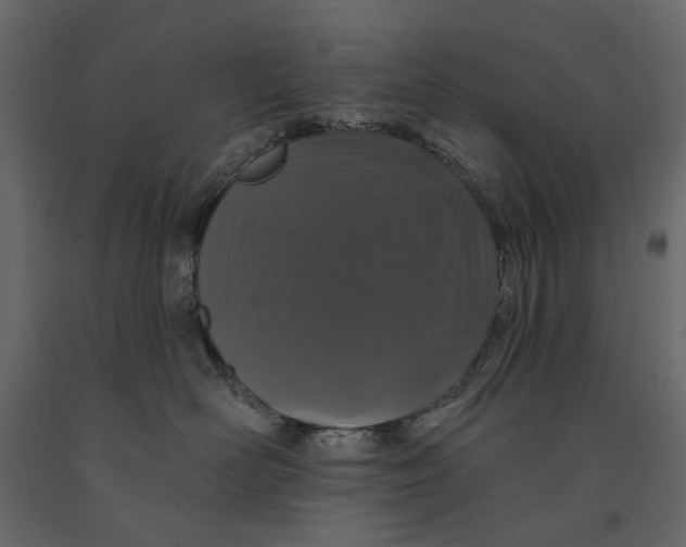 X0000090910526200708271007