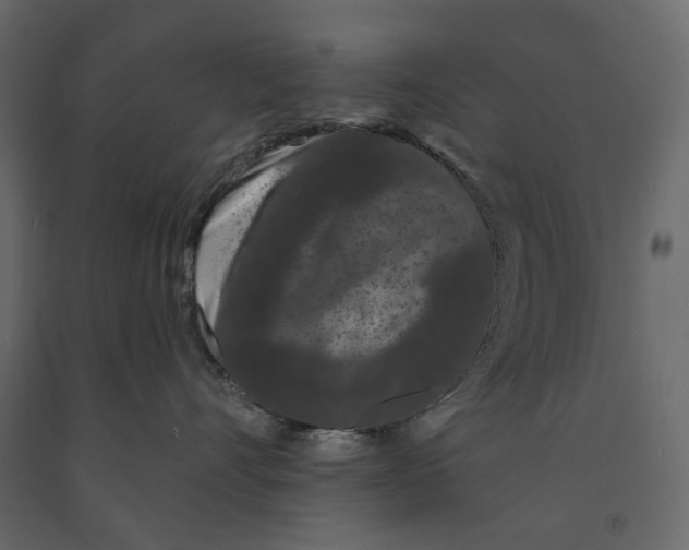 X0000090910528200708271007