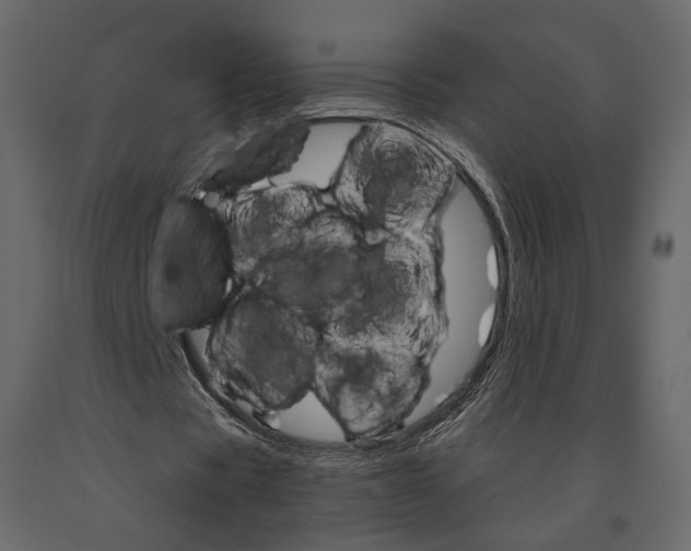 X0000090910529200708271006