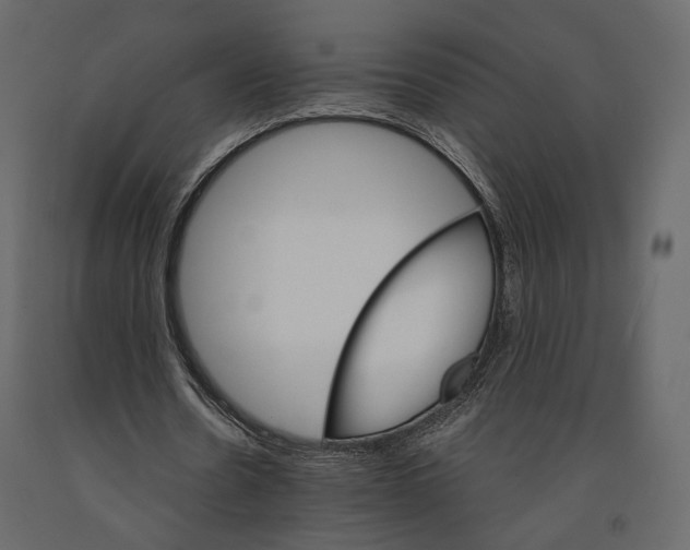 X0000090910530200708271006