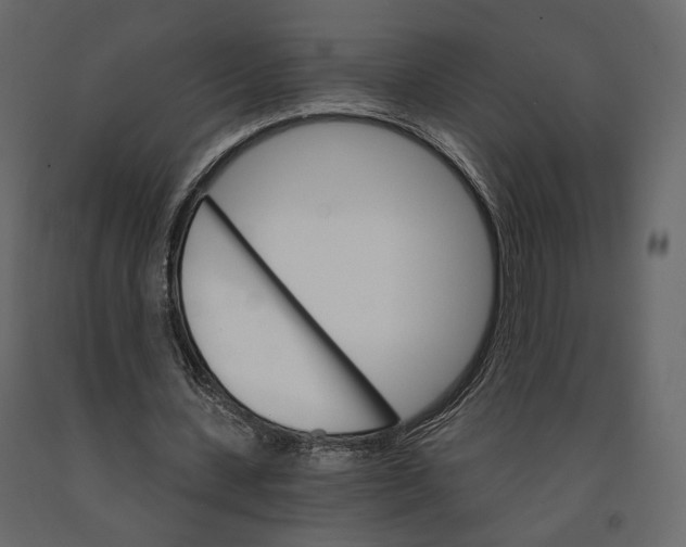 X0000090910531200708271006