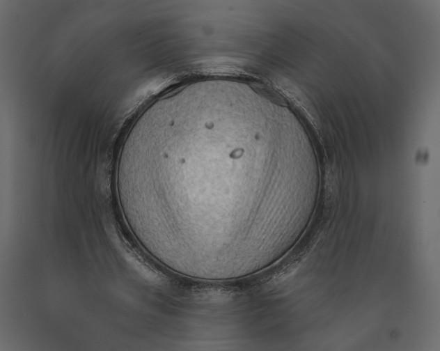 X0000090910533200708271006