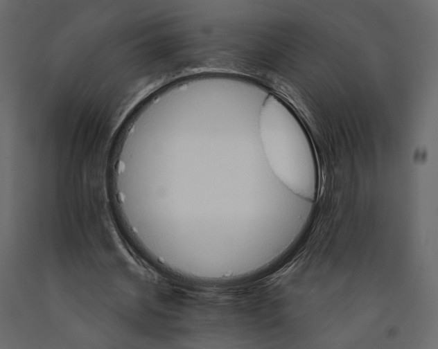 X0000090910534200708271006