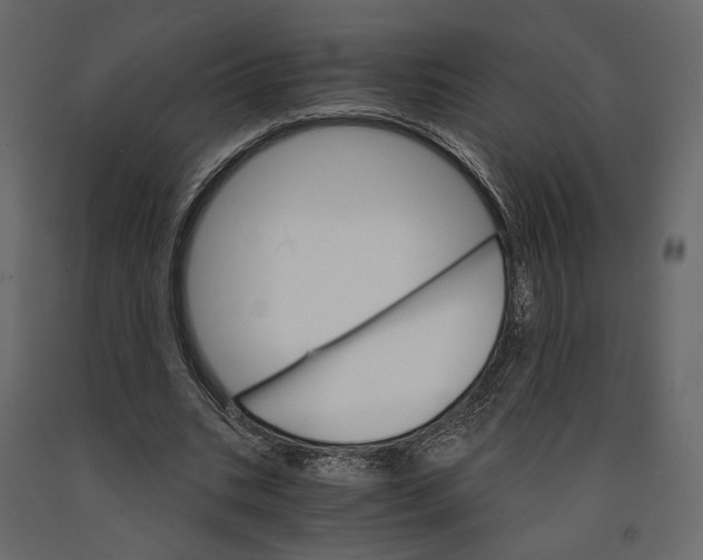 X0000090910535200708271006