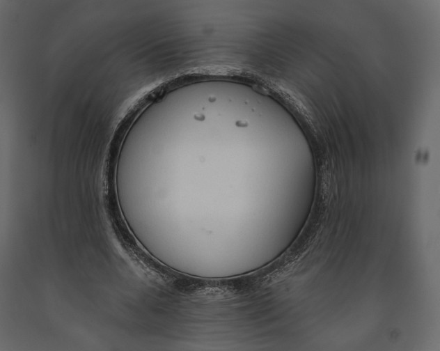 X0000090910536200708271006