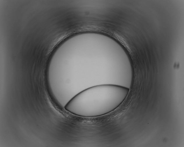 X0000090910538200708271006