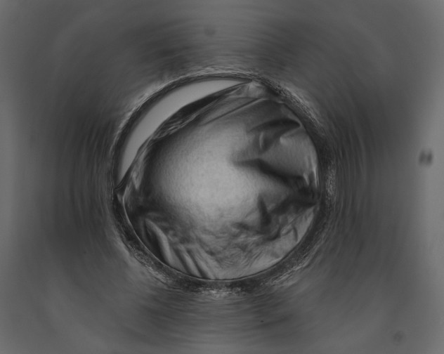 X0000090910540200708271006