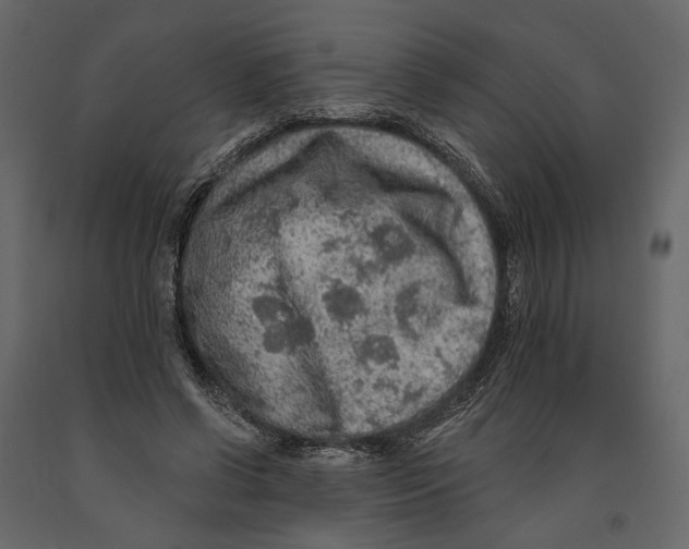 X0000090910542200708271006