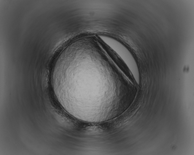 X0000090910544200708271006