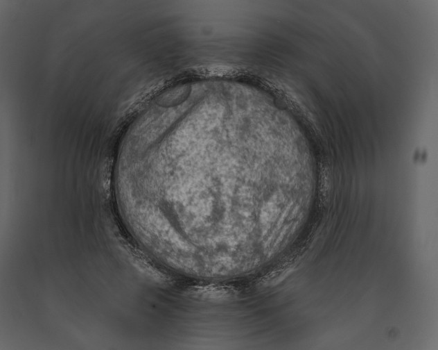 X0000090910545200708271006