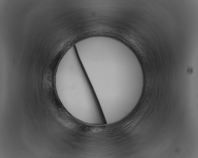 X0000090910547200708271006