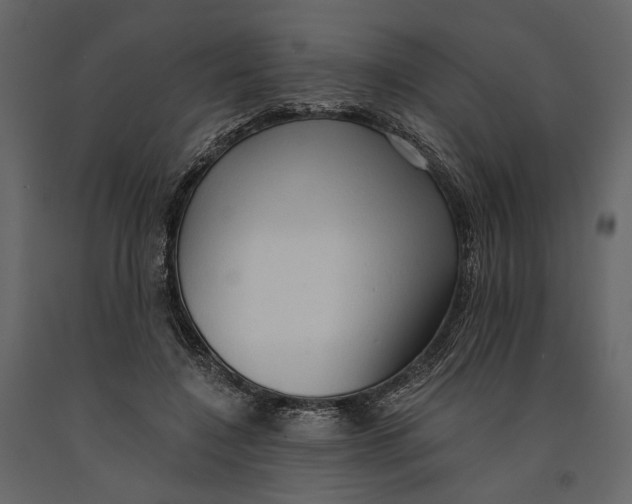 X0000090910548200708271006